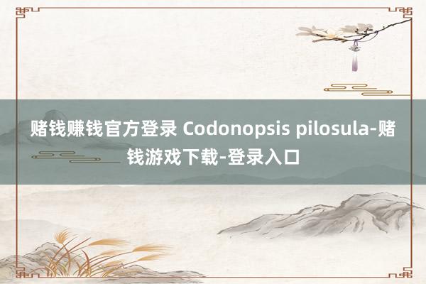 赌钱赚钱官方登录 Codonopsis pilosula-赌钱游戏下载-登录入口